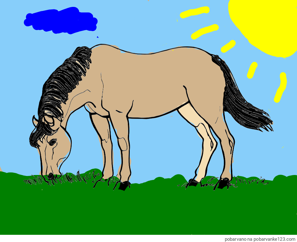 POBARVANA POBARVANKA - Pobarvanka konja med pašo