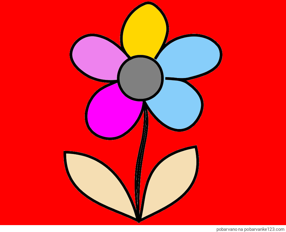 POBARVANA POBARVANKA - Pobarvanka lepe cvetlice