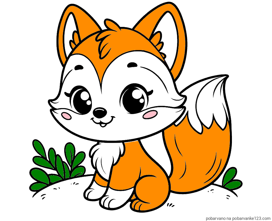 POBARVANA POBARVANKA - Pobarvanka lisičke