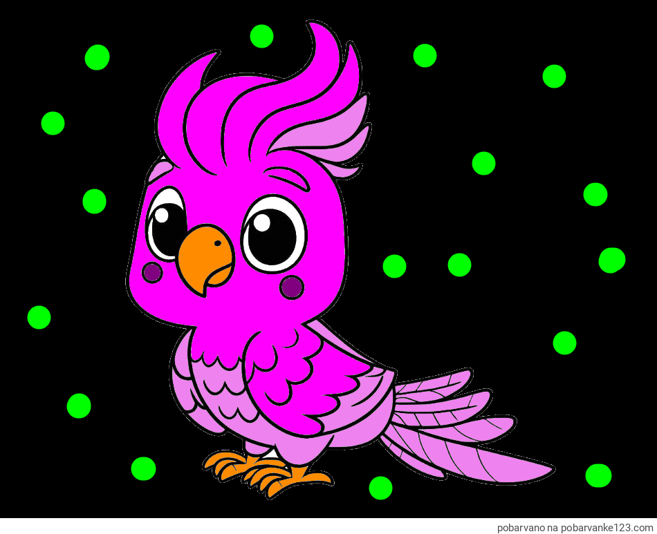 POBARVANA POBARVANKA - Pobarvanka ljubke papige
