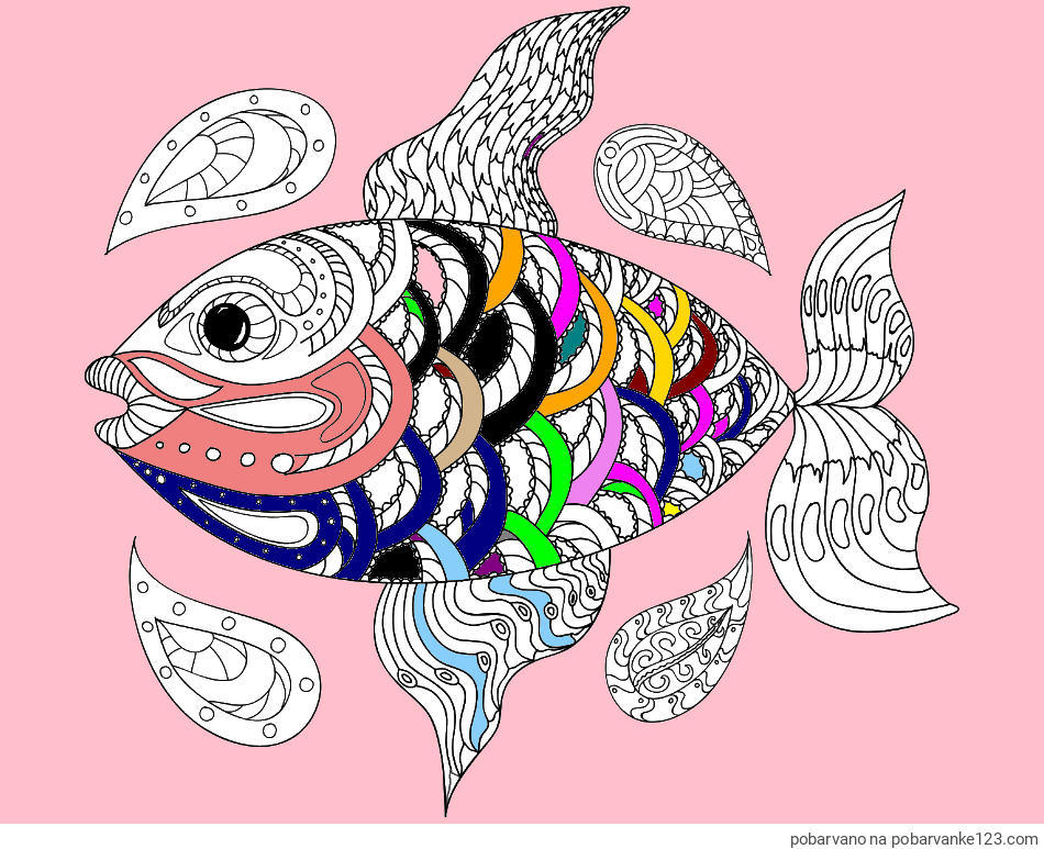 POBARVANA POBARVANKA - Pobarvanka pisane ribe