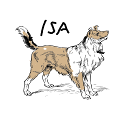 Pobarvana pobarvanka - Pobarvanka prikupnega in prijaznega kužka