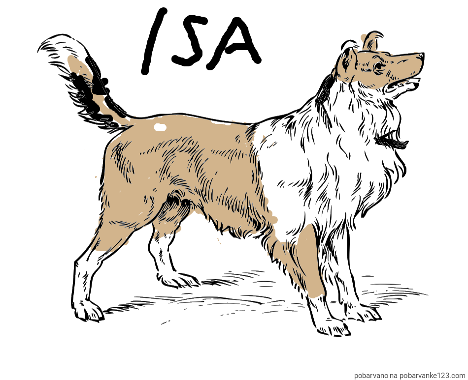 POBARVANA POBARVANKA - Pobarvanka prikupnega in prijaznega kužka