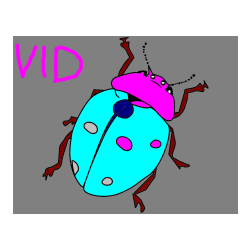 Pobarvana pobarvanka - Pobarvanka realistično upodobljene pikapolonice