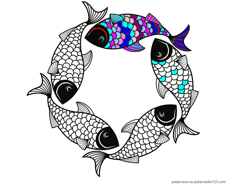 POBARVANA POBARVANKA - Pobarvanka rib - mandale