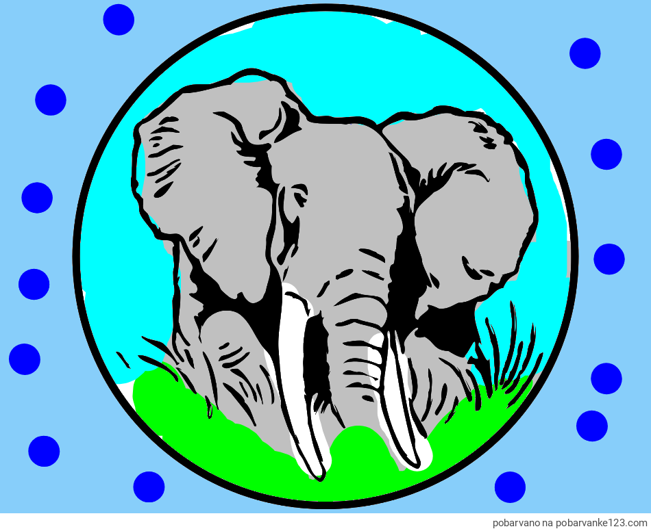 POBARVANA POBARVANKA - Pobarvanka slonje glave