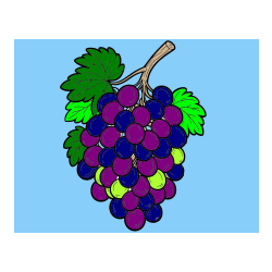 Pobarvana pobarvanka - Pobarvanka velikega grozdja