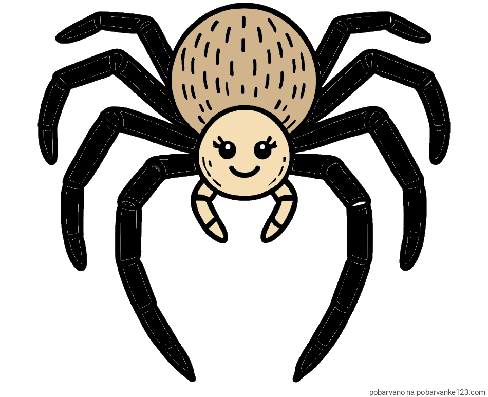 POBARVANA POBARVANKA - Pobarvanka veselega pajka