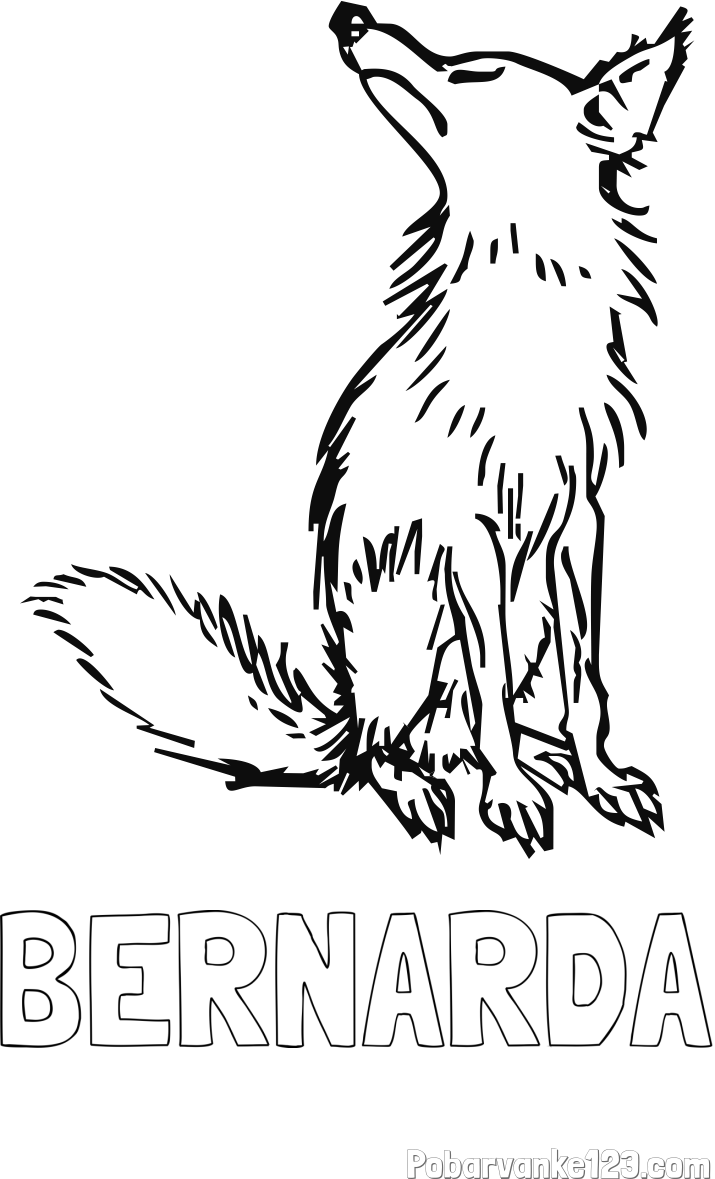 Pobarvanka imena BERNARDA in pobarvanka stare lisice
