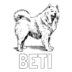 Online izdelana pobarvanka - Pobarvanka imena BETI in pobarvanka čudovitega samojega