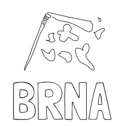 Online izdelana pobarvanka - Pobarvanka imena BRNA in copic in packe