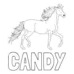 Online izdelana pobarvanka - Pobarvanka imena CANDY in samorog