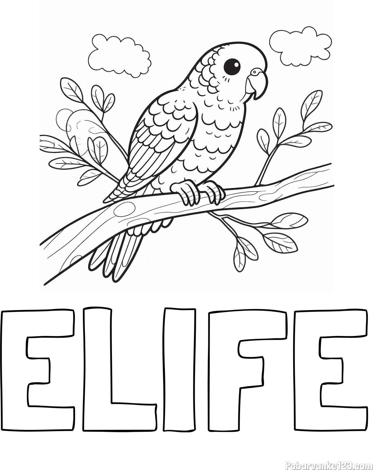 Pobarvanka imena ELIFE in pobarvanka ljubkega kanarčka na veji