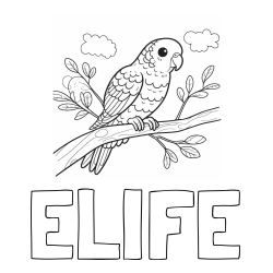Online izdelana pobarvanka - Pobarvanka imena ELIFE in pobarvanka ljubkega kanarčka na veji