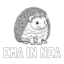 Online izdelana pobarvanka - Pobarvanka imena EMA IN NEA in pobarvanka nasmejanega ježa