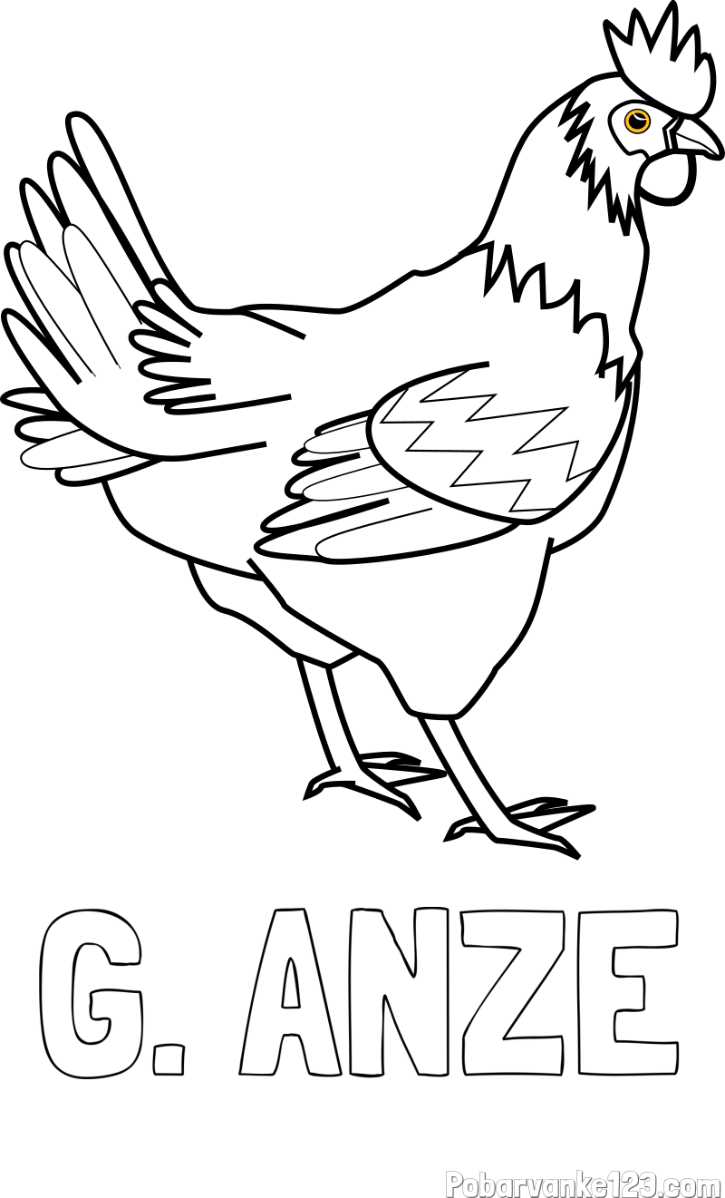 Pobarvanka imena G. ANZE in pobarvanka kokoške