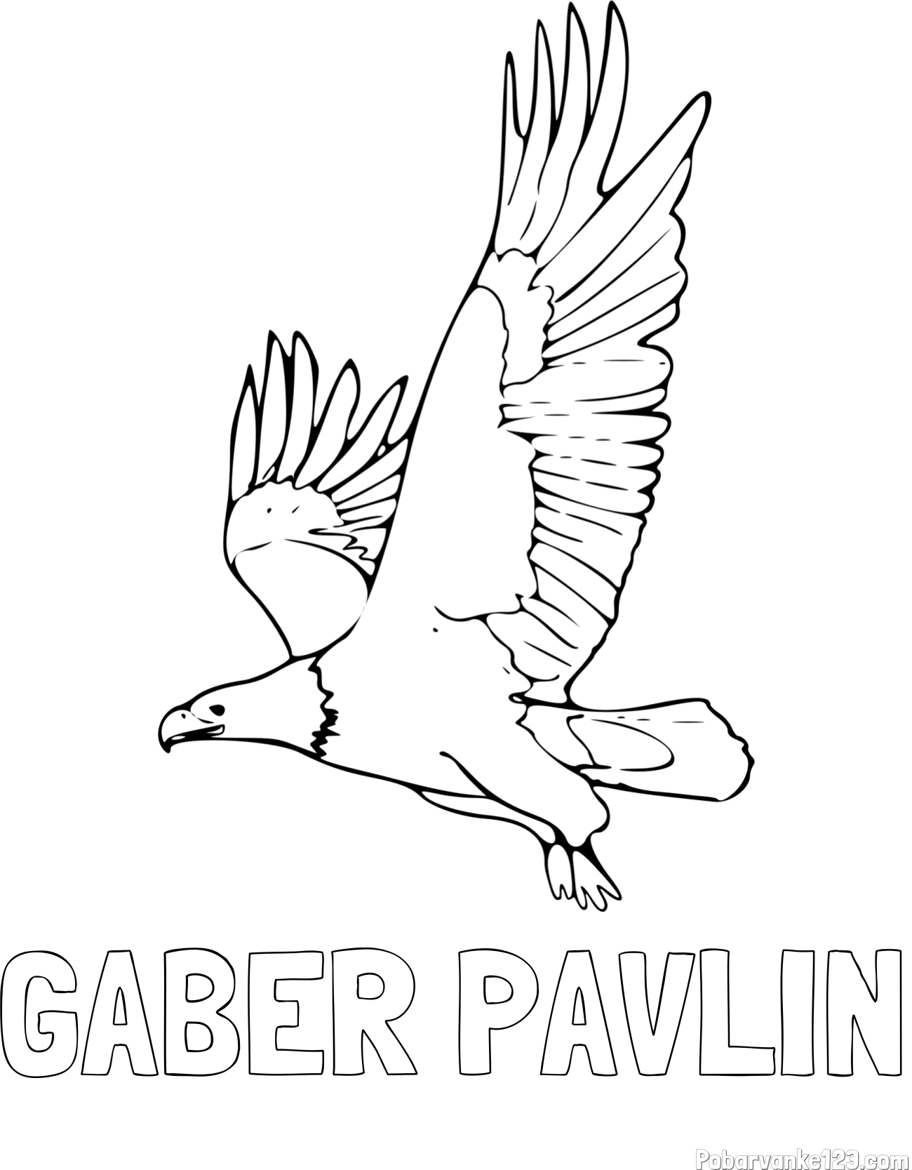 Pobarvanka imena GABER PAVLIN in pobarvanka orla v letu