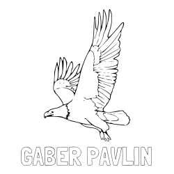 Online izdelana pobarvanka - Pobarvanka imena GABER PAVLIN in pobarvanka orla v letu