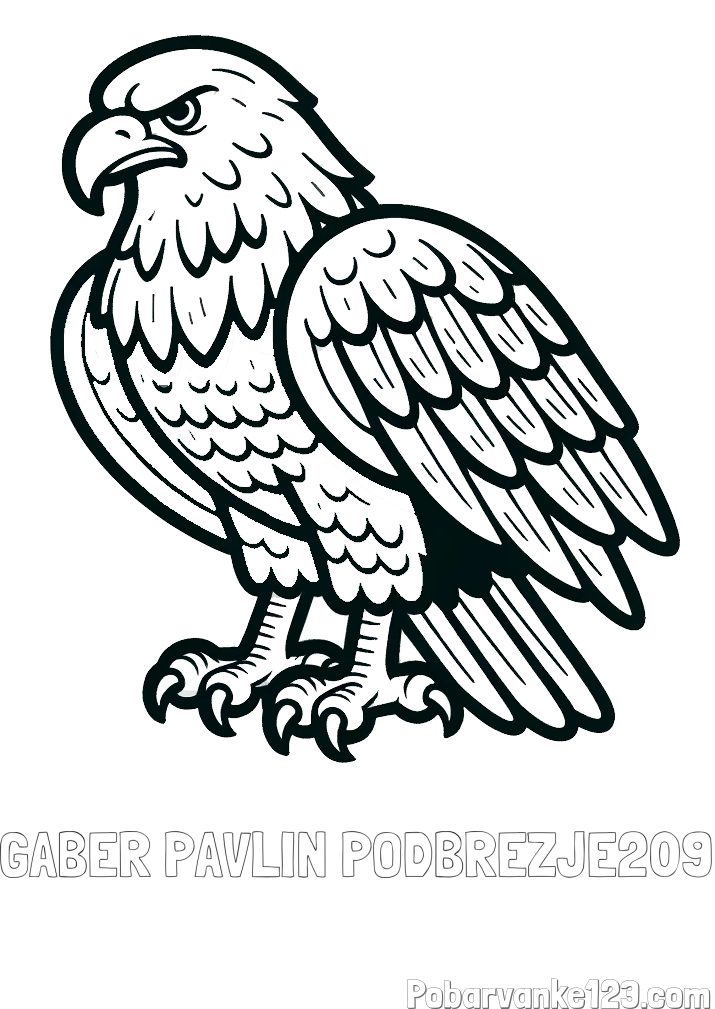 Pobarvanka imena GABER PAVLIN PODBREZJE209 in pobarvanka orla