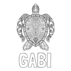 Online izdelana pobarvanka - Pobarvanka imena GABI in pobarvanka želve - mandale