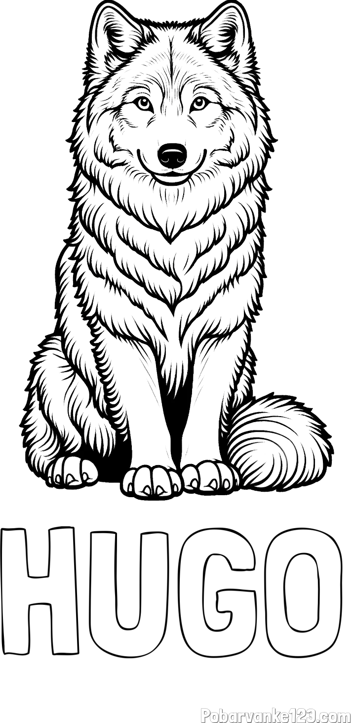 Pobarvanka imena HUGO in pobarvanka prijaznega volka