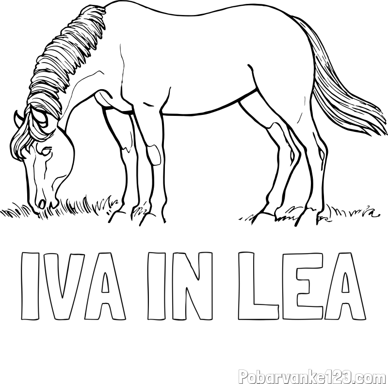 Pobarvanka imena IVA IN LEA in pobarvanka konja med pašo