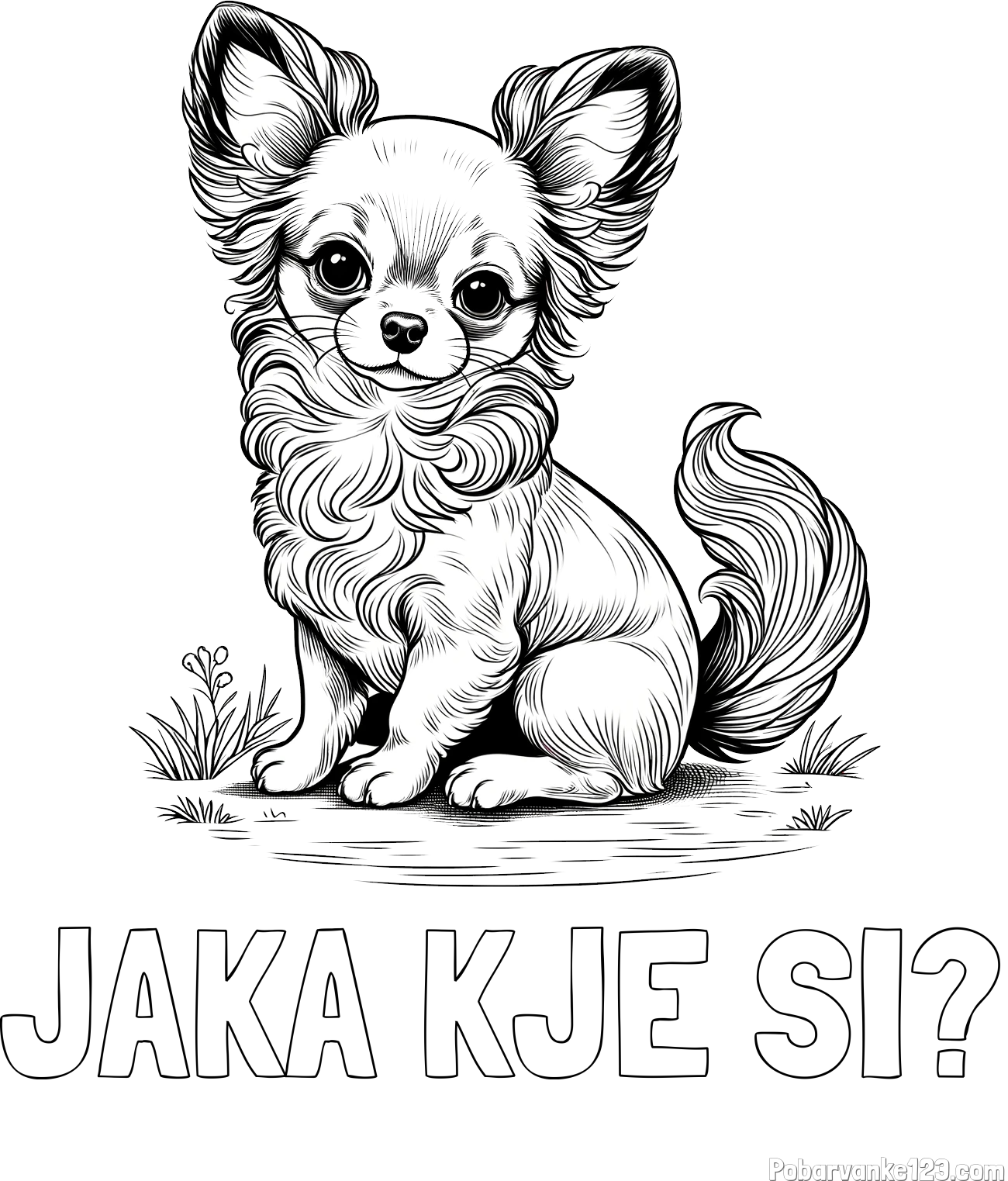 Pobarvanka imena JAKA KJE SI? in pobarvanka ljubke čivave