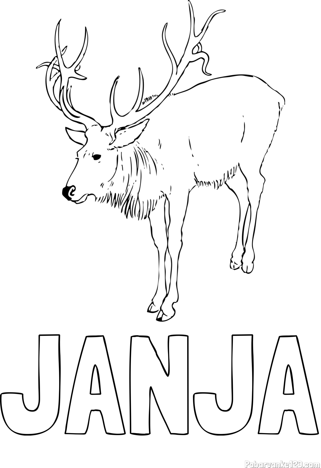 Pobarvanka imena JANJA in pobarvanka velikega jelena