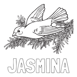 Online izdelana pobarvanka - Pobarvanka imena JASMINA in pobarvanka ptice na vejici