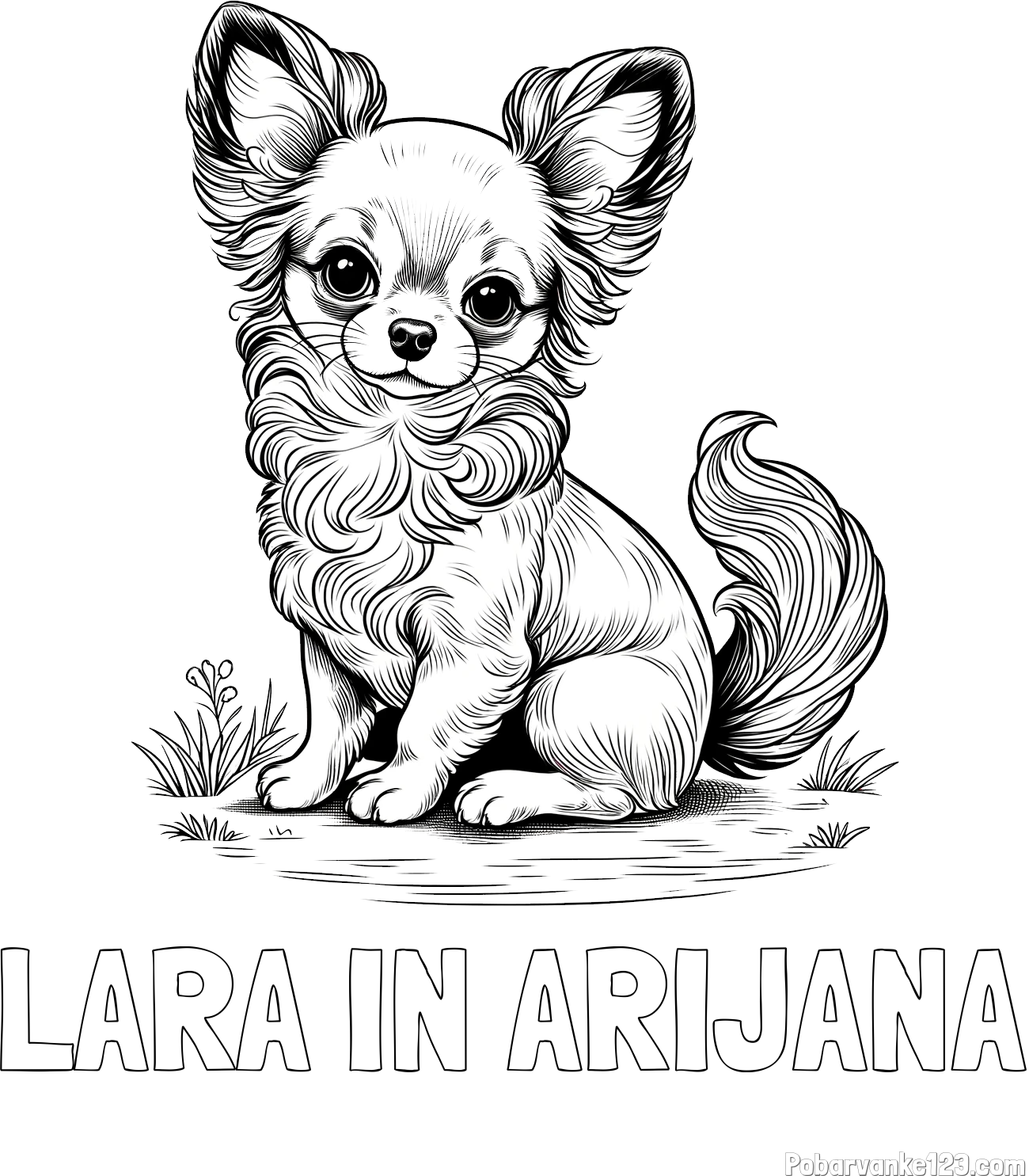 Pobarvanka imena LARA IN ARIJANA in pobarvanka ljubke čivave