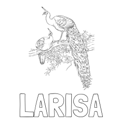 Online izdelana pobarvanka - Pobarvanka imena LARISA in pobarvanka pava