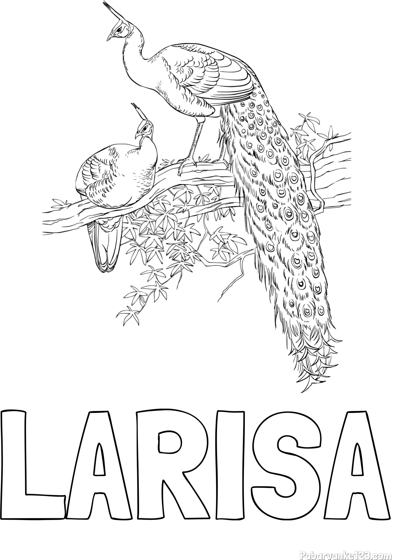 Pobarvanka imena LARISA in pobarvanka pava