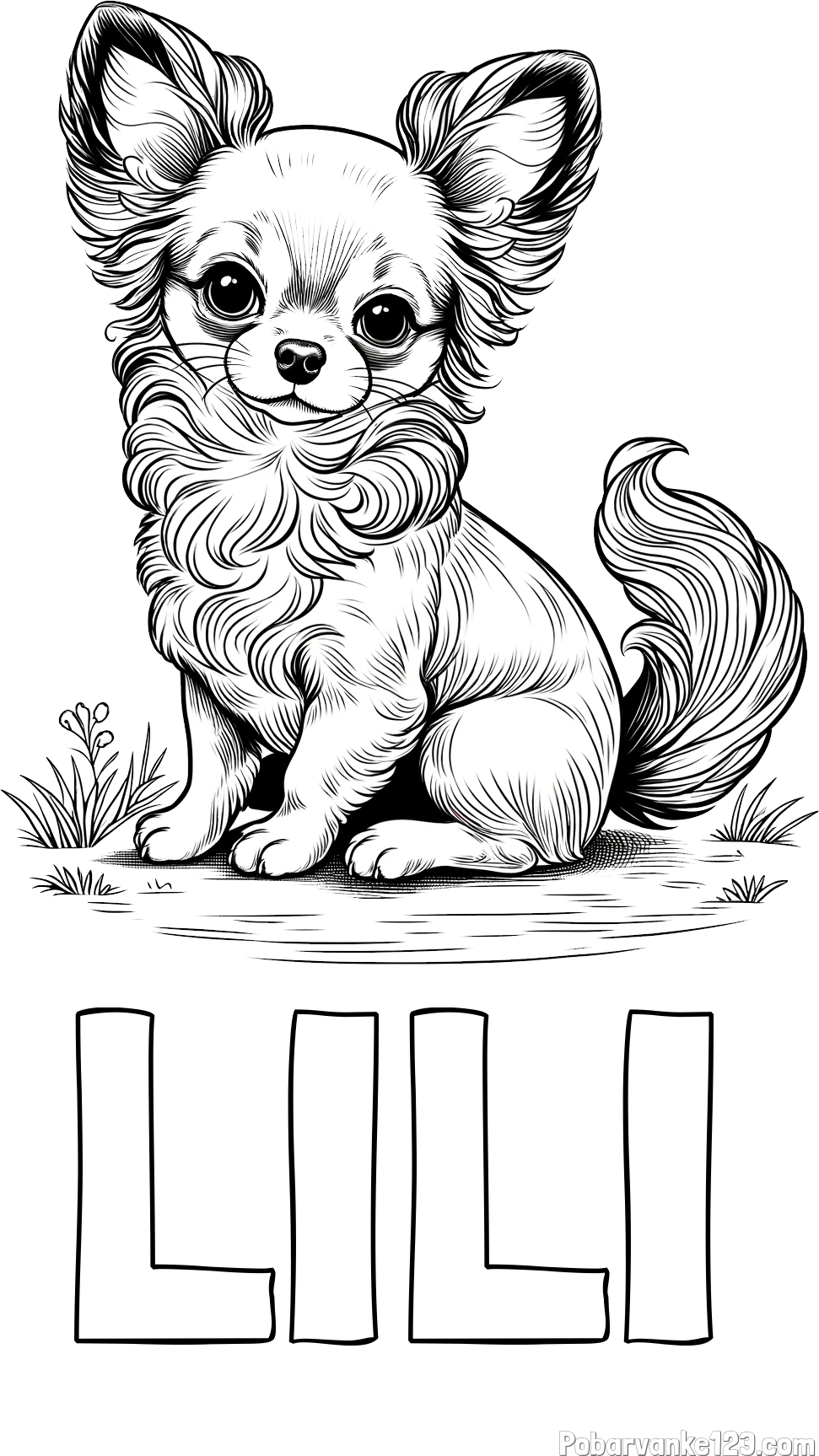 Pobarvanka imena LILI in pobarvanka ljubke čivave