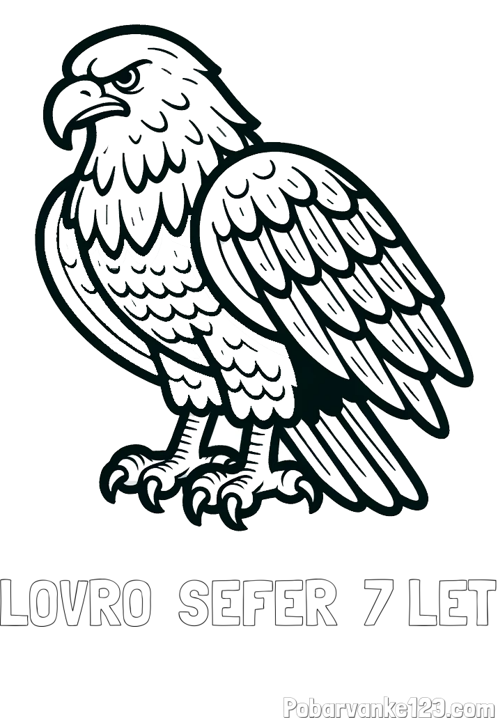 Pobarvanka imena LOVRO  ŠEFER  7 LET in pobarvanka orla
