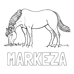 Online izdelana pobarvanka - Pobarvanka imena MARKEZA in pobarvanka konja med pašo