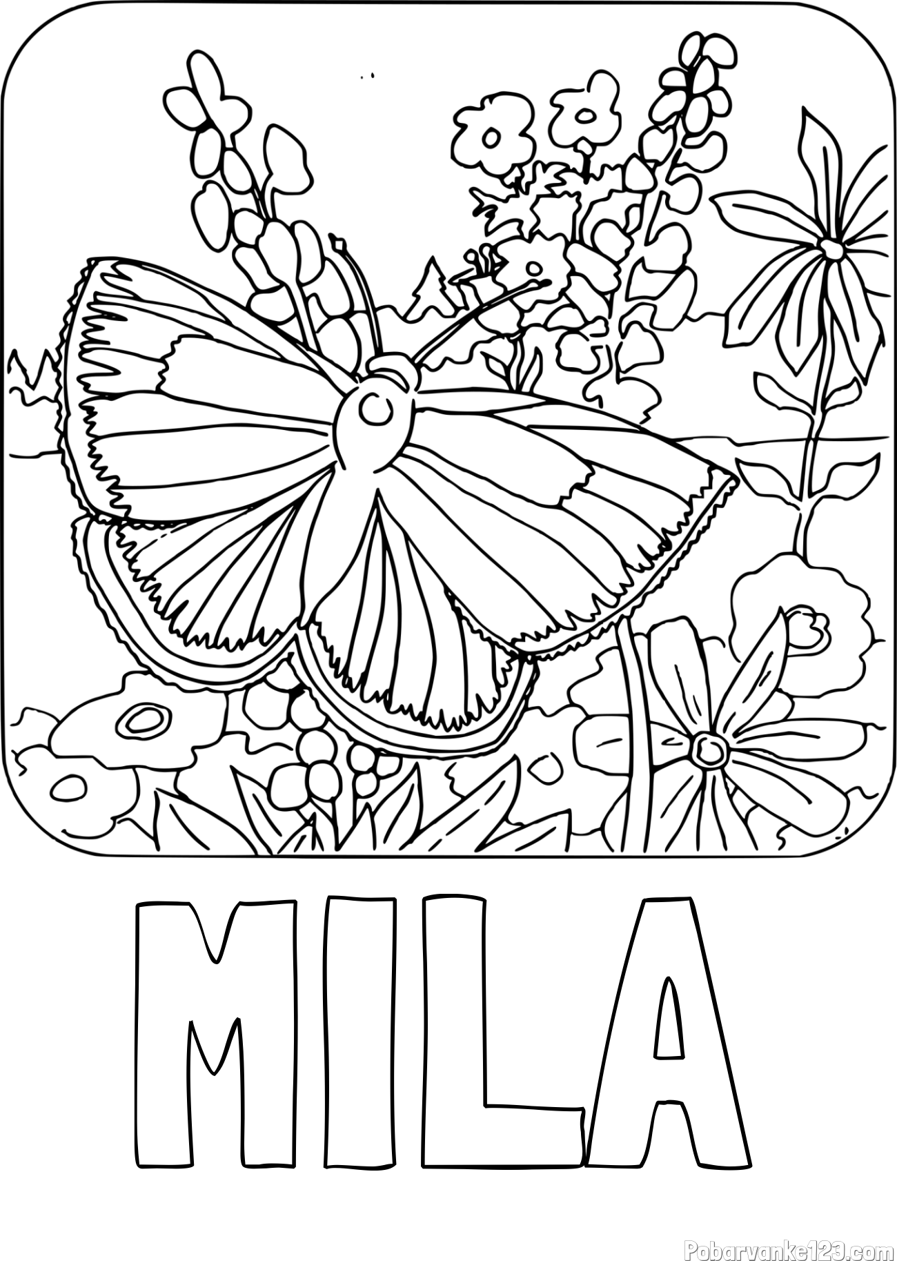 Pobarvanka imena MILA in pobarvanka metulja v naravi
