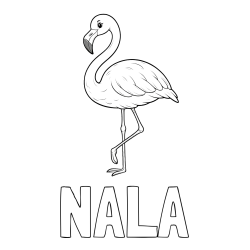 Online izdelana pobarvanka - Pobarvanka imena NALA in pobarvanka flaminga