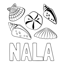 Online izdelana pobarvanka - Pobarvanka imena NALA in pobarvanka različnih školjk
