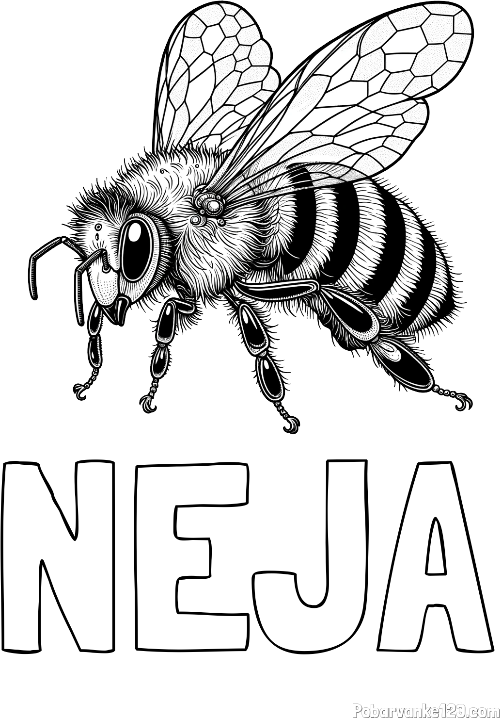 Pobarvanka imena NEJA in pobarvanka lepe in realistično oblikovane čebele