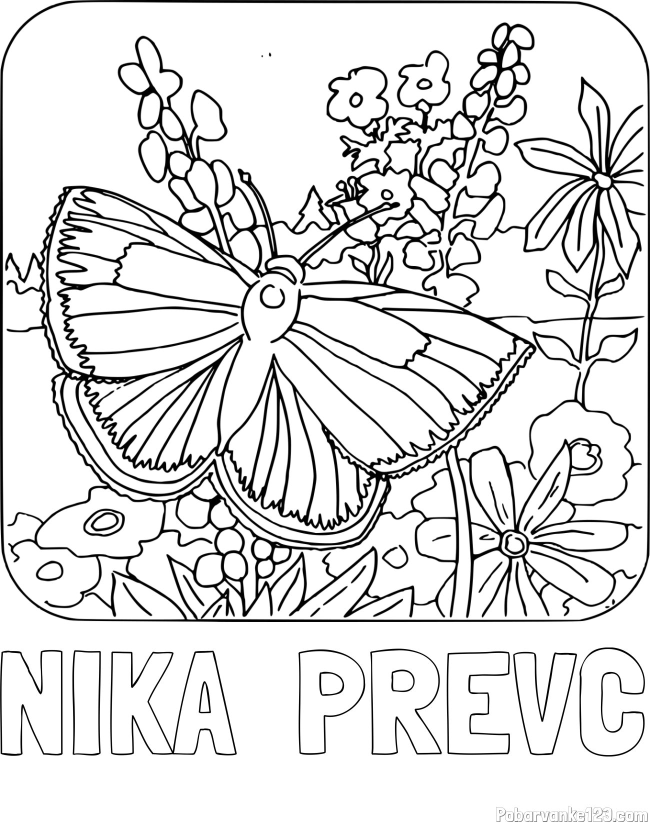 Pobarvanka imena NIKA  PREVC in pobarvanka metulja v naravi