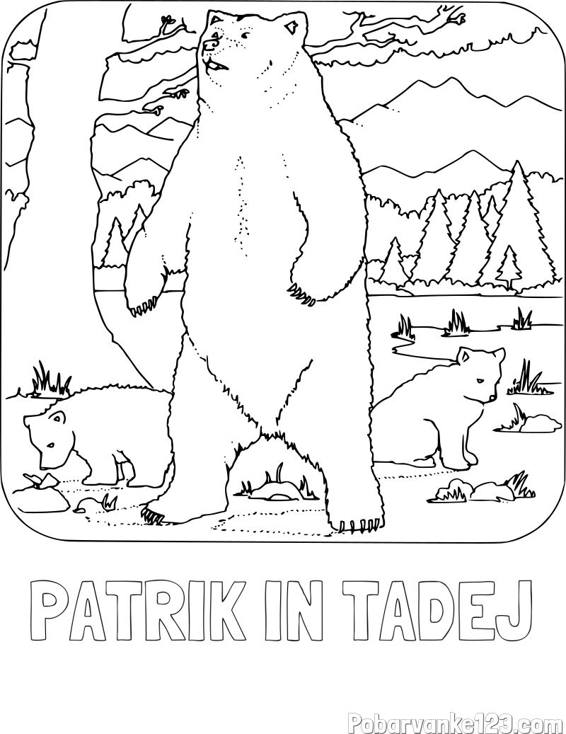 Pobarvanka imena PATRIK IN TADEJ in pobarvanka medvedke z mladičema
