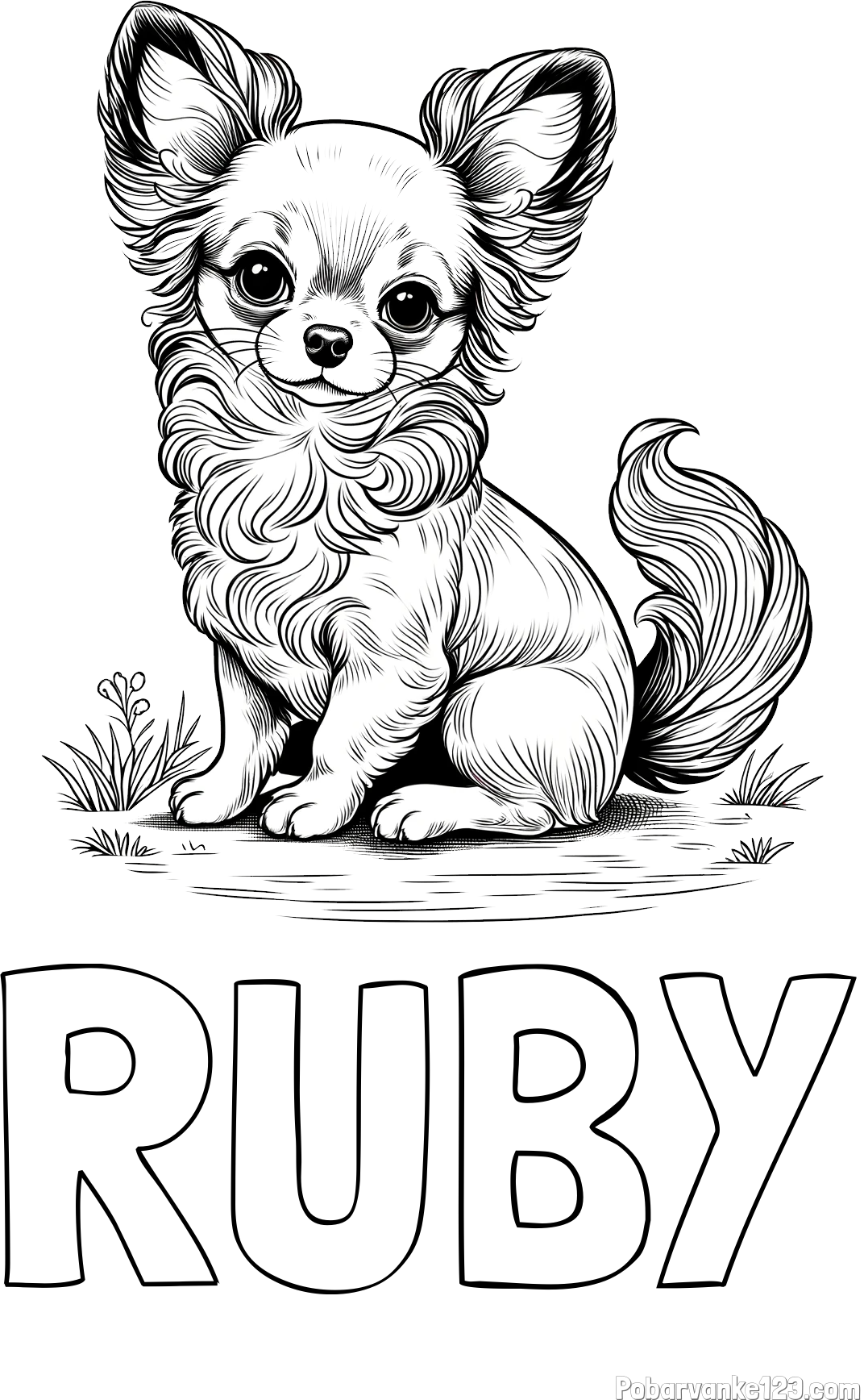 Pobarvanka imena RUBY in pobarvanka ljubke čivave