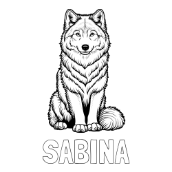 Online izdelana pobarvanka - Pobarvanka imena SABINA in pobarvanka prijaznega volka