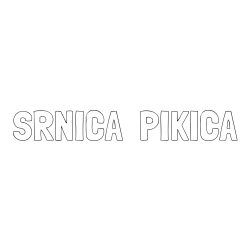 Online izdelana pobarvanka - Pobarvanka imena SRNICA  PIKICA