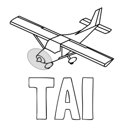 Online izdelana pobarvanka - Pobarvanka imena TAI in pobarvanka letala med letom