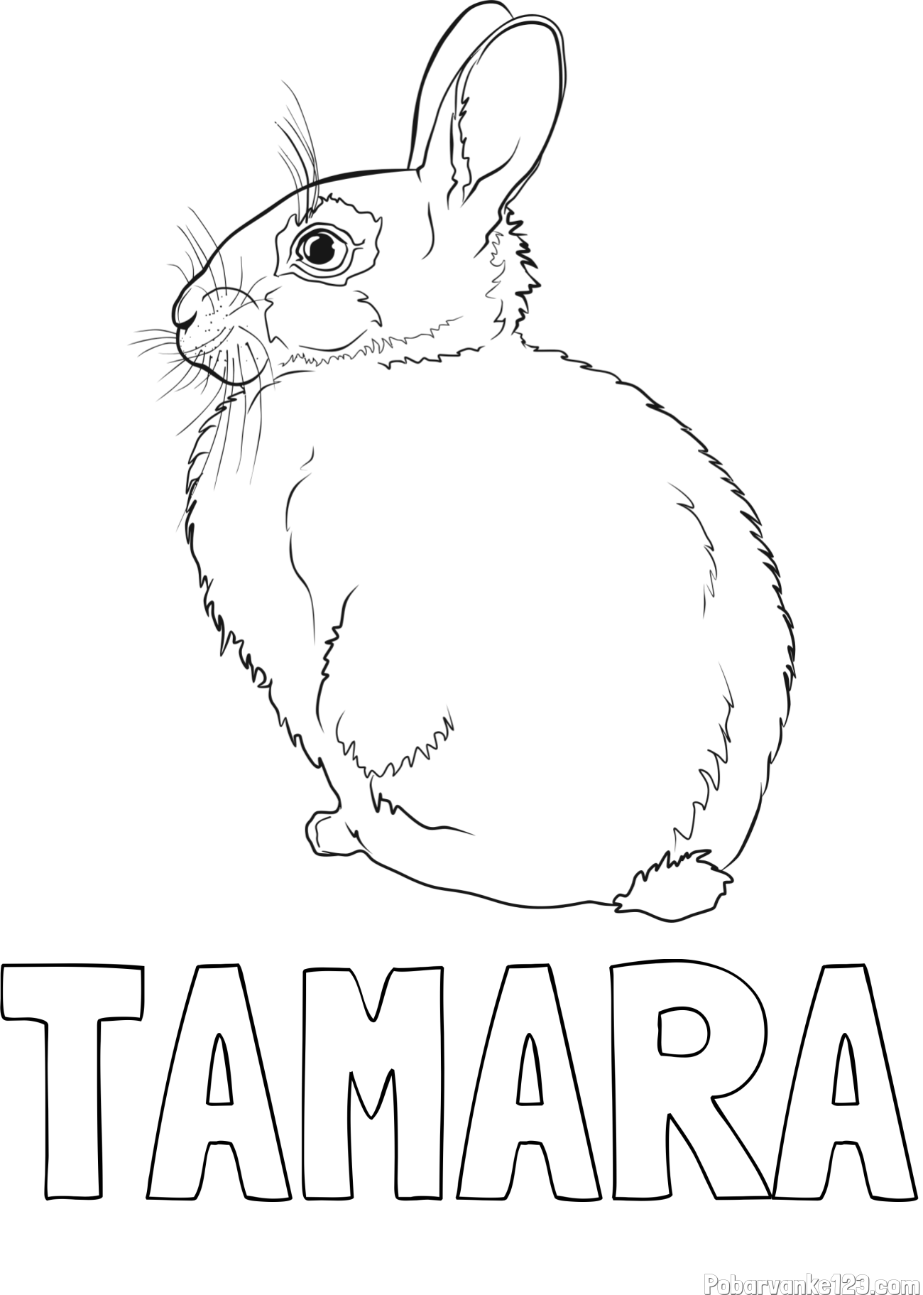 Pobarvanka imena TAMARA in pobarvanka debelega zajca