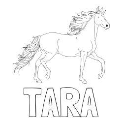 Online izdelana pobarvanka - Pobarvanka imena TARA in samorog