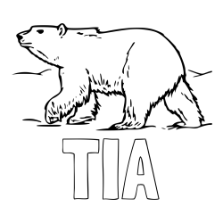Online izdelana pobarvanka - Pobarvanka imena TIA in pobarvanka polarnega medveda na lovu