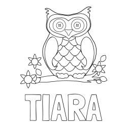 Online izdelana pobarvanka - Pobarvanka imena TIARA in pobarvanka sove