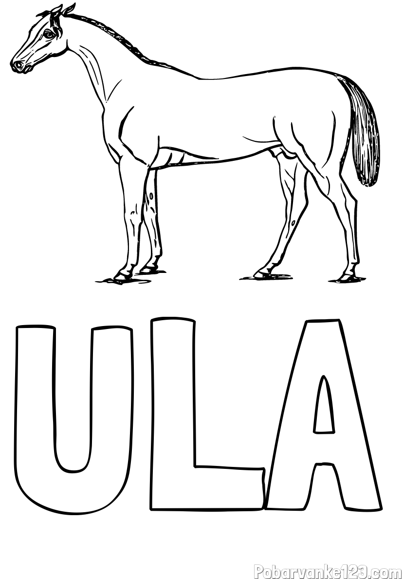 Pobarvanka imena ULA in pobarvanka konja